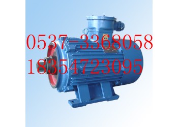YBJ系列礦用絞車電機(jī)  2019廠家生產(chǎn)