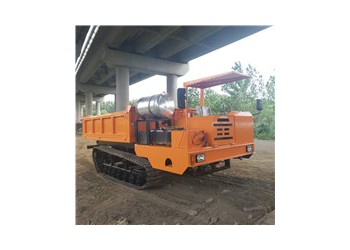 湛江拉毛竹的履帶車 履帶自卸車 農用履帶車