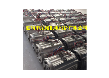 廠家直銷3KW油浸式電機(jī)