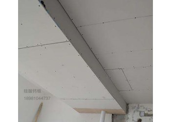 資陽(yáng)集成墻板裝飾保溫防潮防火板保溫加厚材料
