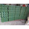 塑料7公分植草格/山東闊展工程材料
