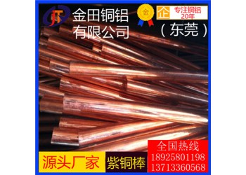 t4紫銅棒*高品質t1耐腐蝕紫銅棒，t5鍍錫紫銅棒