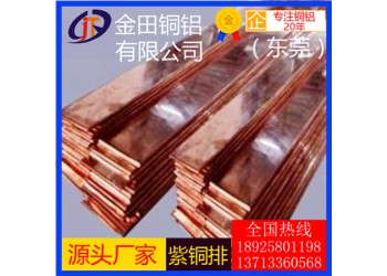 高品質t2紫銅排，t4大規格紫銅排-t6耐腐蝕紫銅排