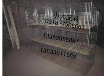 售鵪鶉籠鷓鴣籠雞籠鴿子籠兔子籠運輸籠貓籠狗籠鳥籠八哥籠