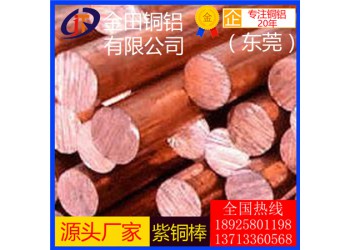 t4紫銅棒/t6優質耐沖壓紫銅棒，c1020耐高溫紫銅棒