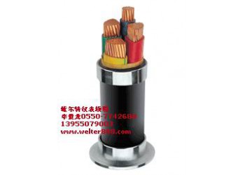 供應(yīng)（維爾特）YJV電力電纜