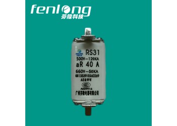 RS31快速熔斷器訂做-芬隆品牌