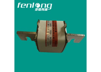RS34快速熔斷器訂做-芬隆品牌