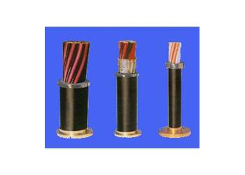 供應(yīng)(維爾特)KYVFR耐寒控制軟電纜