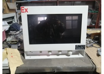 北京供應化工石油防爆顯示器