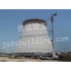 新建電廠煙囪/江蘇德盛集團