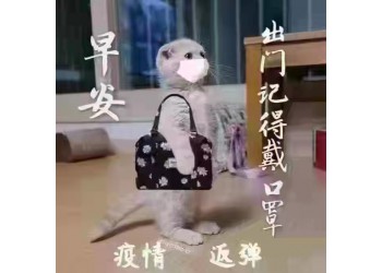 進口衣服鞋子如何清關運輸到上海