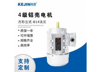 YS系列三相異步鋁殼電機交流馬達微型電動機380