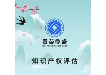 沈陽市非專利技術評估專利商標版權評估無形資產評估