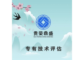 上海市專有技術評估無形資產評估專利評估機構