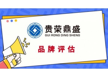 廈門市品牌價值評估商標評估專利實繳評估軟著出資評估