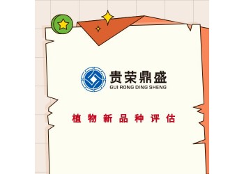龍巖市植物新品種價值評估專利認繳評估商標實繳評估軟著出資評估