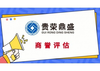 淮安市專(zhuān)利注資評(píng)估知識(shí)產(chǎn)權(quán)評(píng)估軟著商標(biāo)出資評(píng)估