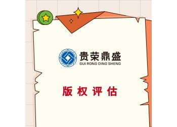 鎮(zhèn)江市技術(shù)評(píng)估專(zhuān)利評(píng)估知識(shí)產(chǎn)權(quán)評(píng)估