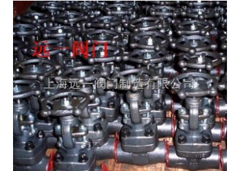 鍛鋼閘閥Z11H-16C/25/40/64/100