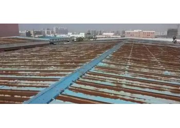 藁城彩鋼瓦更換多少錢一平米
