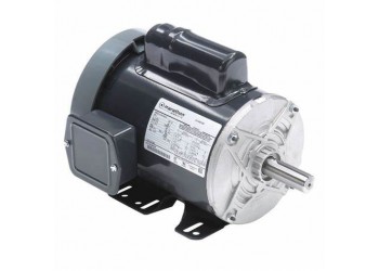 馬拉松 Marathon 電機(jī)