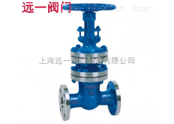 國標波紋管閘閥WZ41H-16C/25/40