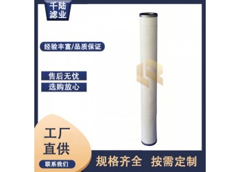 PCHG36  PCHG36C替代派瑞燃氣管道聚結濾芯