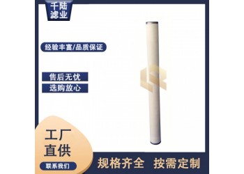 PCHGC36  PCHG324替代派瑞天然氣管道過濾器濾芯
