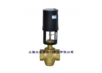 銅絲扣動(dòng)態(tài)平衡電動(dòng)調(diào)節(jié)閥