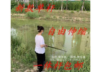鋰電一體單桿,打漁電桿,隱蔽吸魚桿抄網(wǎng)