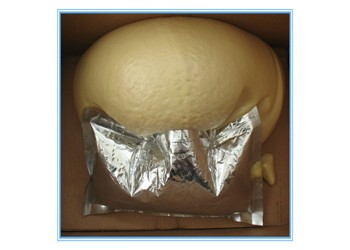 山西長治煤礦反復回購的袋裝馬麗散封孔劑錯不了