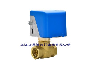 上海興麥隆電動二通閥AC220V