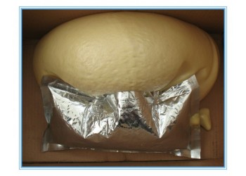 價(jià)格不同的袋裝馬麗散封孔材料到底有什么區(qū)別