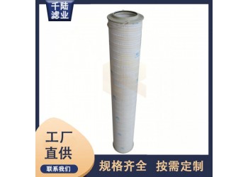 互換沃爾加恩摩倫濾芯00810986  00810987