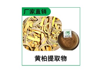 森冉生物 黃柏提取物 川柏提取物 比例提取原料粉