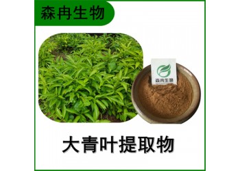 森冉生物 大青葉提取物 臭大青提取物 比例提取原料粉