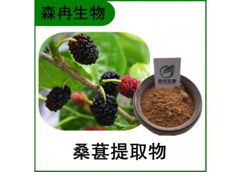 森冉生物 桑葚提取物 桑果提取物 桑葚粉