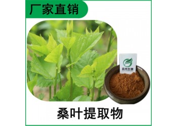 森冉生物 桑葉提取物 蠶葉提取物 比例提取原料粉