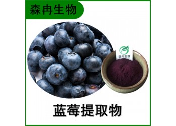 森冉生物 藍莓提取物 越橘提取物 藍莓粉