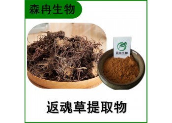 森冉生物 返魂草提取物 青苑提取物 比例提取原料粉