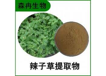 森冉生物 辣子草提取物 牛膝菊提取物 比例提取原料粉